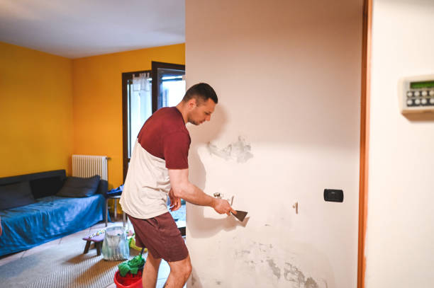 Best Mold Removal and Inspection  in Vestavia Hills, AL